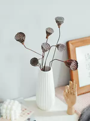 Lotus dry flower real flower Zen ornaments small dry flower hipster mini dining room bar study decoration dry lotus