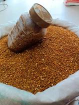  Watermelon pollen Fresh pollen Changbai Mountain Watermelon Seed pollen non-broken natural 500g Special offer