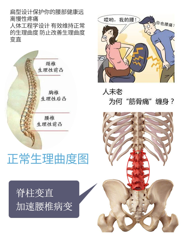 McKenzie siêu xe khối lượng lái xe ít vận động văn phòng gối đệm đệm giảm đau lưng - Trở lại đệm / Bolsters gối tựa lưng cao cấp