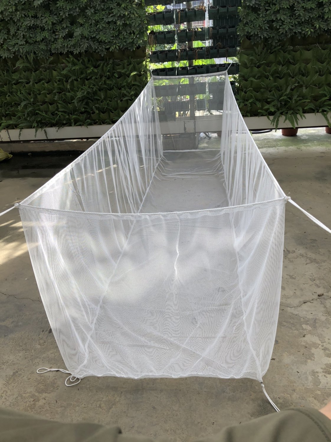 Soft Nylon Cage Ornamental Fish Breeding Cage Clay Loach Yellow Eel Breeding Fishing Nets Fish Fry Box Nets Fish Fry Box Nets