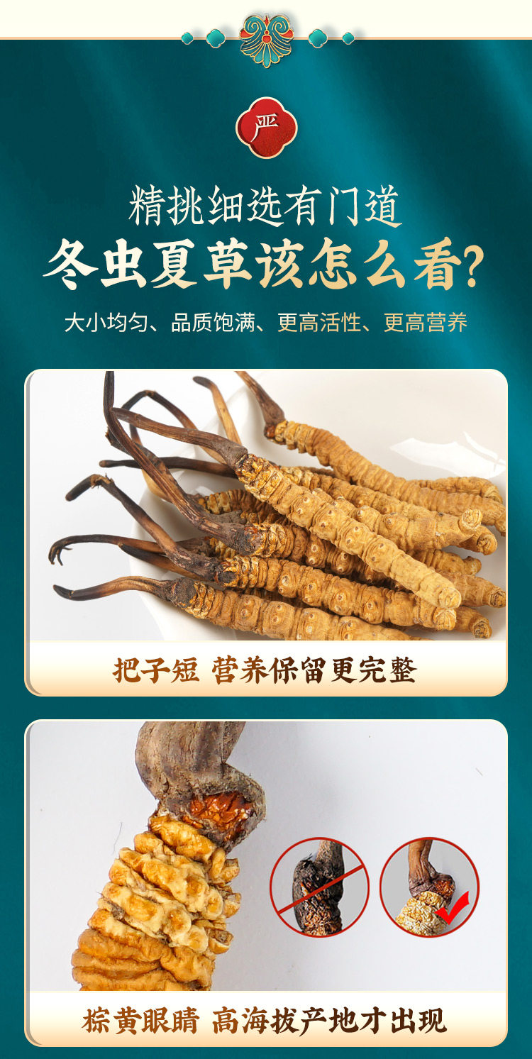 Например, cordyceces 2_12.jpg