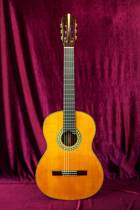Parlado SNO-D1 India Rosewood Double Panel Lifting Fingerboard Full Single Classical Guitar Performance Exam