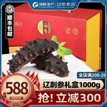 Dalian instant sea cucumber gift box Liao sea cucumber deep seeding fresh sea seepage special price non-light dry sea cucumber gift box