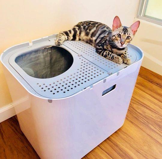 Spot German direct mail modkat cat litter box new cat toilet XL high quality low-key fashion