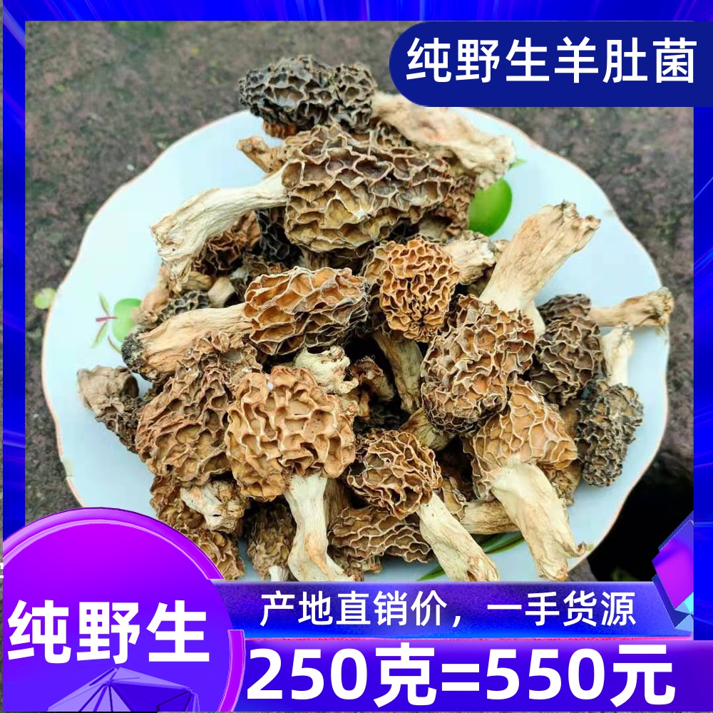 Wild head stubble sheep belly fungus dried goods pure wild 250 gr New stock edible mushrooms goat belly mushrooms 250g