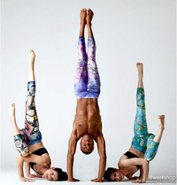 Eagle rock classic series 7 points yoga pants