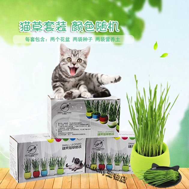 Xiaoye Leopard Candy Cat Grass Set Cat Grass Seed Catnip Cat Snacks Trồng cỏ mèo - Đồ ăn nhẹ cho mèo