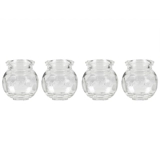 国医研 Толстый стеклянный бак -чапинговый устройства Специальный набор домашних наборов крупных красотных салонов Canal Special Fire Can Can