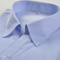 Blue striped shirt on white background women long sleeve slim body slim shirt bank professional wear v collar inch clothes