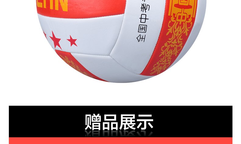 Ballon de volley - Ref 2010323 Image 18