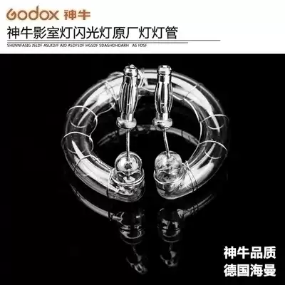 Shen Niu Digital Pioneer TC DP DE SK SP 200W 300W 400W 600W Flash lamp