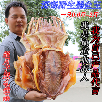 Beihai boat sun dried large cuttlefish 500g dried squid soup dried big fish dried seafood dried goods
