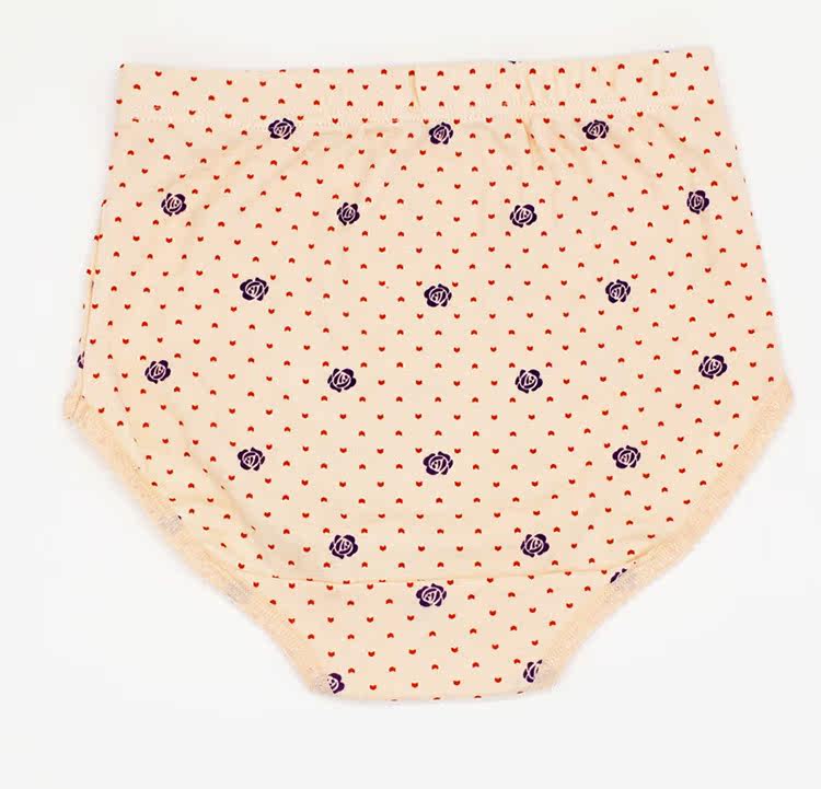 Slip Moyen-âge N8L5X20015 en coton - Ref 666096 Image 28