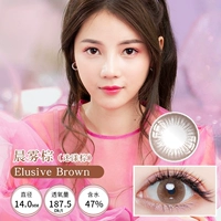 Утренний туман коричнево-туманно-коричневый