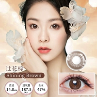 Цудзи Цветочный коричневый Сияющий коричневый