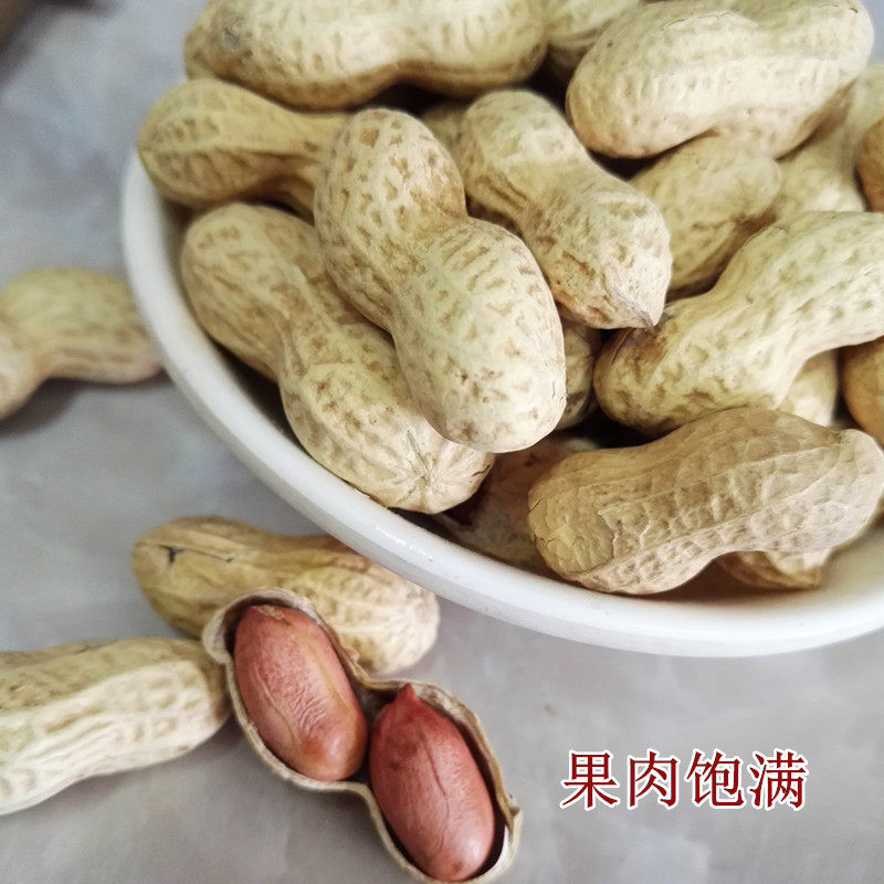 Original small flower raw walnut flavor snacks garlic spiced milk fragrance boiled peanut with shell fried goods snack cooked