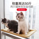 ຈອກດູດແມວ hammock cat nest cat glass hammock hanging nest swing hanging window winter and summer sunbathing pet supplies