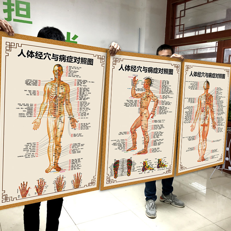 [USD 6.88] The Chinese medicine body's longitude acupuncture map The ...
