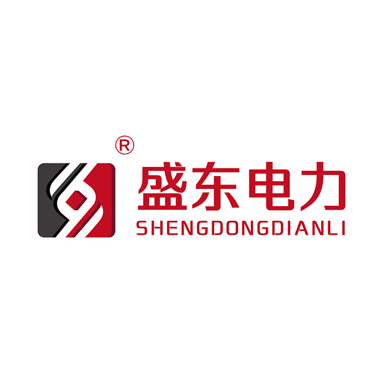 盛东电力工器具工厂店的LOGO