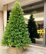 American version of PE Christmas tree super dense 1 2-3m PE pine needle fat Christmas tree luxury encrypted frame Christmas tree