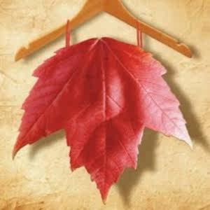 凤叶红大码服装店
