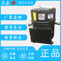 Brand new 15 HP BRISTOL cold storage cold dryer H2NG184DPEF air conditioning compressor