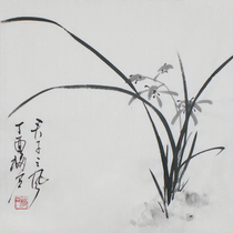 Recommended flower and bird painter Plum Stone Chinese painting Orchid sketch hand-painted manuscript calligraphy and painting masterpiece ink and wash