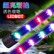 Fish tank light waterproof lamp Three-base color LED light diving light Water straw lamp amphibious Bright Light and Illumination Aquarium Floodlight