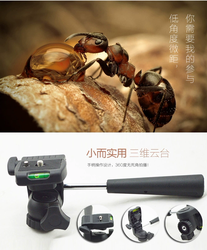 Joy way máy tính để bàn di động chân máy ảnh micro DSLR điện thoại di động khung selfie hai chiều khung gimbal chân máy - Phụ kiện máy ảnh DSLR / đơn