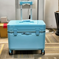 Ледник сине-гладкий