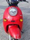 Red Turtle King Yadi Emma Xinrimi Colorful Front Tile Turtle King Front Block Shell Lamp Shell Accessories