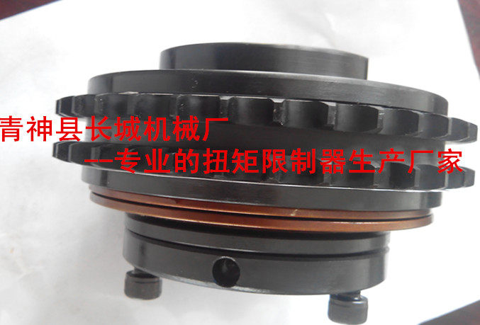 Torque limiter with double row chain wheel type TL500-1TL500-2 friction sheet torsion limiter