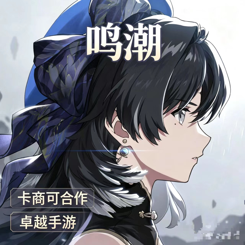 Official App for Android and Apple [Wuthering Waves] - Top-Up Service: 648 Yuan Will Be Credited to 8080, with Synchronized Monthly Event Rewards
