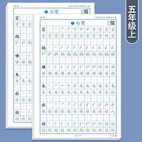 [Учебное обучение подкрепления] Книга 5*2 книг+2 книги+обучение ручке