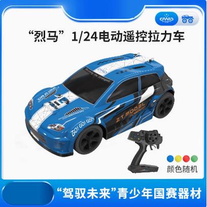 Liemai 1/24 Electric Remote Control Rally Car