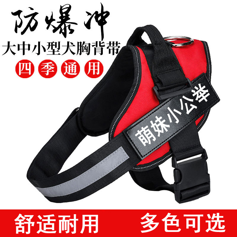 K9 dog chest holding baby bag walking dog leash golden retriever Labrador Samoyed Teddy medium and large dog chain necklace