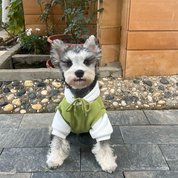 Schnauzer, Teddy, Pomeranian, Bichon Small and Medium-Sized Dog Hoodie Jacket, Pet Cat and Dog Fleece-Lined Thick Cotton Clothing
