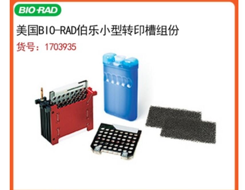 bio-rad伯乐Mini-trans-blot转印槽转膜1703935转印芯总代理