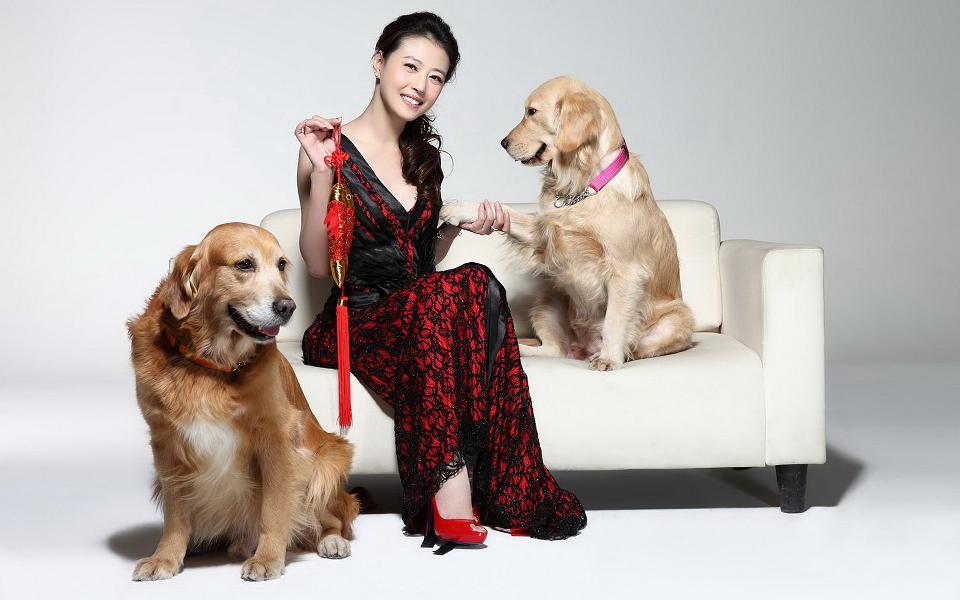 Vịt chiên dinh dưỡng Molar Fire Dog Snacks Pet Snacks Pet Food 100g - Đồ ăn vặt cho chó thức ăn cho chó