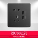 Двойной USB с пятью отверстиями (большая пластина 821, черный)