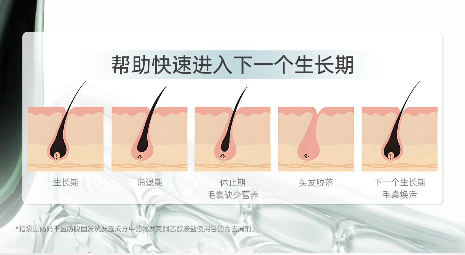 袋鼠妈妈防脱洗发水控油去屑专用生姜养发固发洗发露正品旗舰店 — 10
