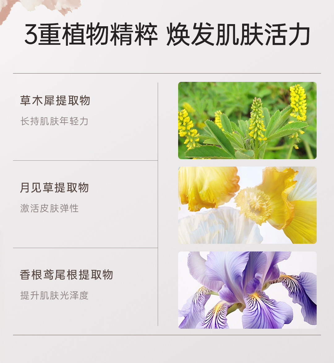 袋鼠妈妈燕窝面霜紧致抗皱备孕专用护肤品松露滋润精华霜秋冬保湿 — 22