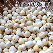 Lotus seeds 250g white lotus seeds dry goods Super coreless sulfur-free farmhouse self-produced two Special Products