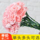 Single-headed pink carnations multi-headed carnations fresh-cut flowers Yunnan flower base direct hair home mother's day bouquet