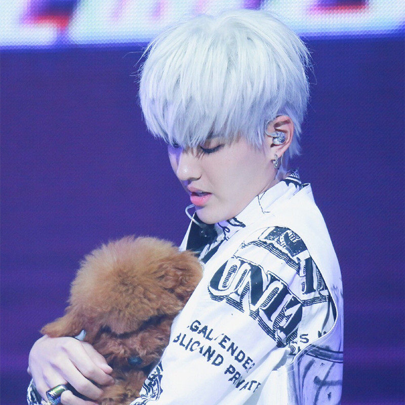 Perruque cheveux raides Court - Ref 2607225 Image 10