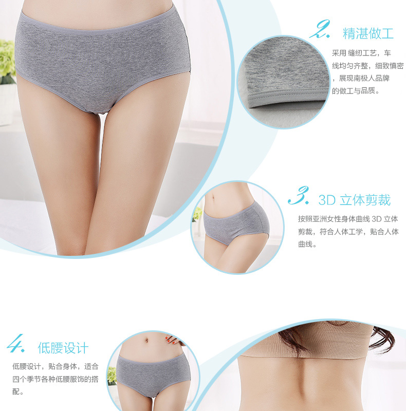 Slip jeunesse NJR5892 en coton - Ref 641131 Image 12