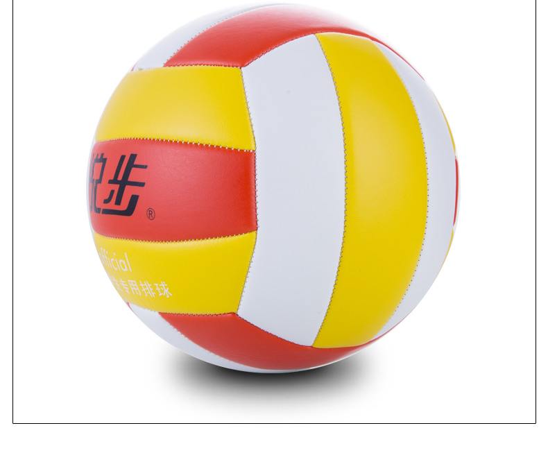 Ballon de volley - Ref 2009856 Image 23