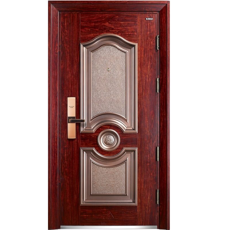 Security security door for Wang Li CJ28 (single door)