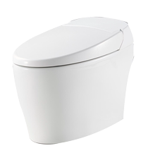 HDE1126-3 smart toilet