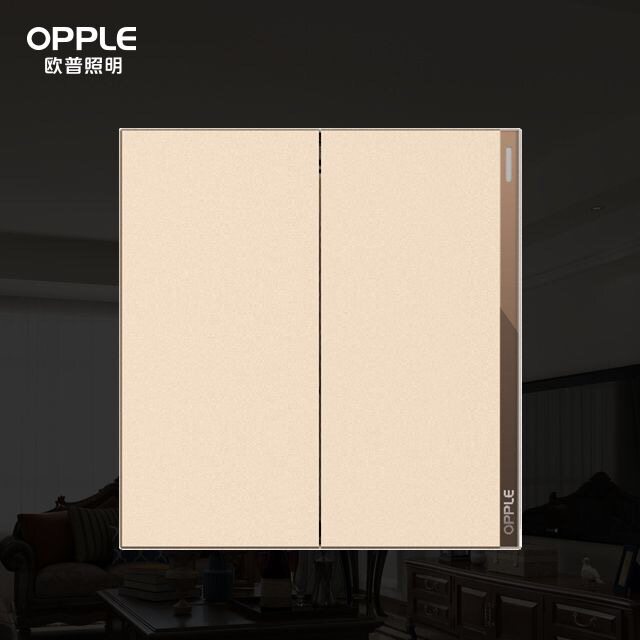 Aup Lighting Wall Switch T07 Series 1021A-F-J7-Two opening single